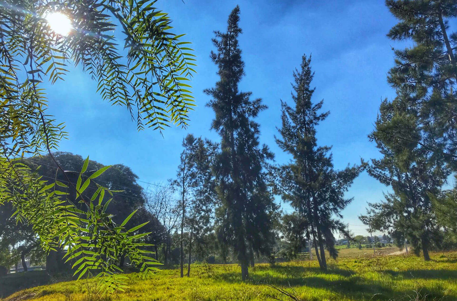 Imagen del proyecto sustentable